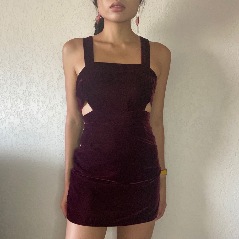 Red Velvet Dress (Unworn! Still has the tag)